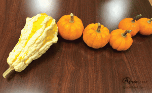 fall crafts Pumpkin Creatures sea serpent dragon pumpkins